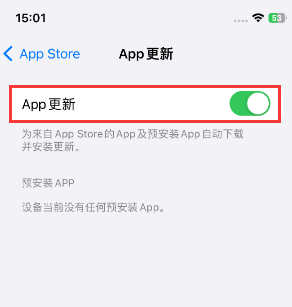 江达苹果15维修中心如何让iPhone15APP自动更新