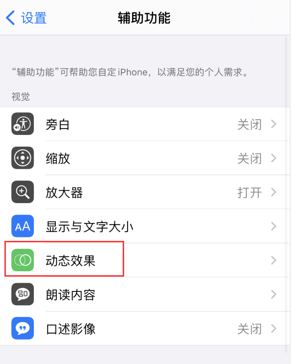 江达苹果手机维修分享iPhone 12 退出应用时没有动画显示，如何设置 